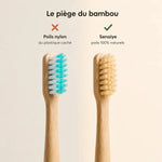Brosse Bambou - Zéro Plastique - Senaiye