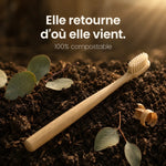Brosse Bambou - Zéro Plastique - Senaiye