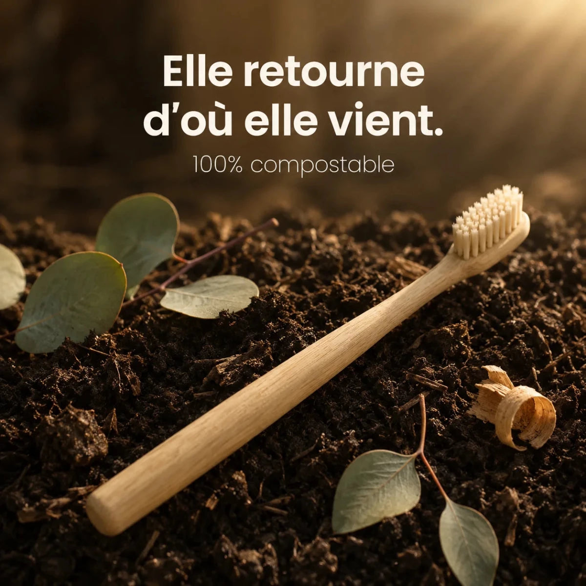Brosse Bambou - Zéro Plastique - Senaiye