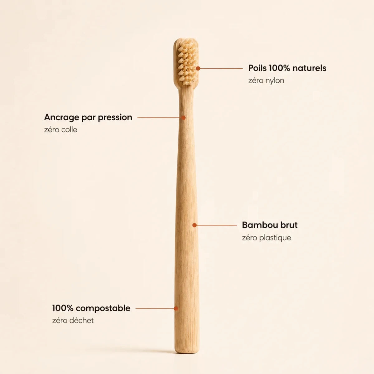 Brosse Bambou - Zéro Plastique - Senaiye