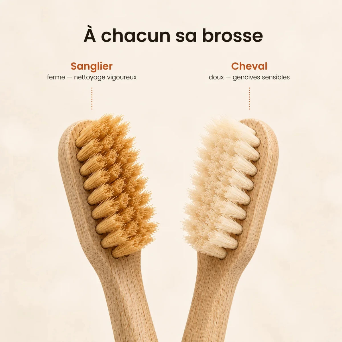 Brosse Bambou - Zéro Plastique - Senaiye