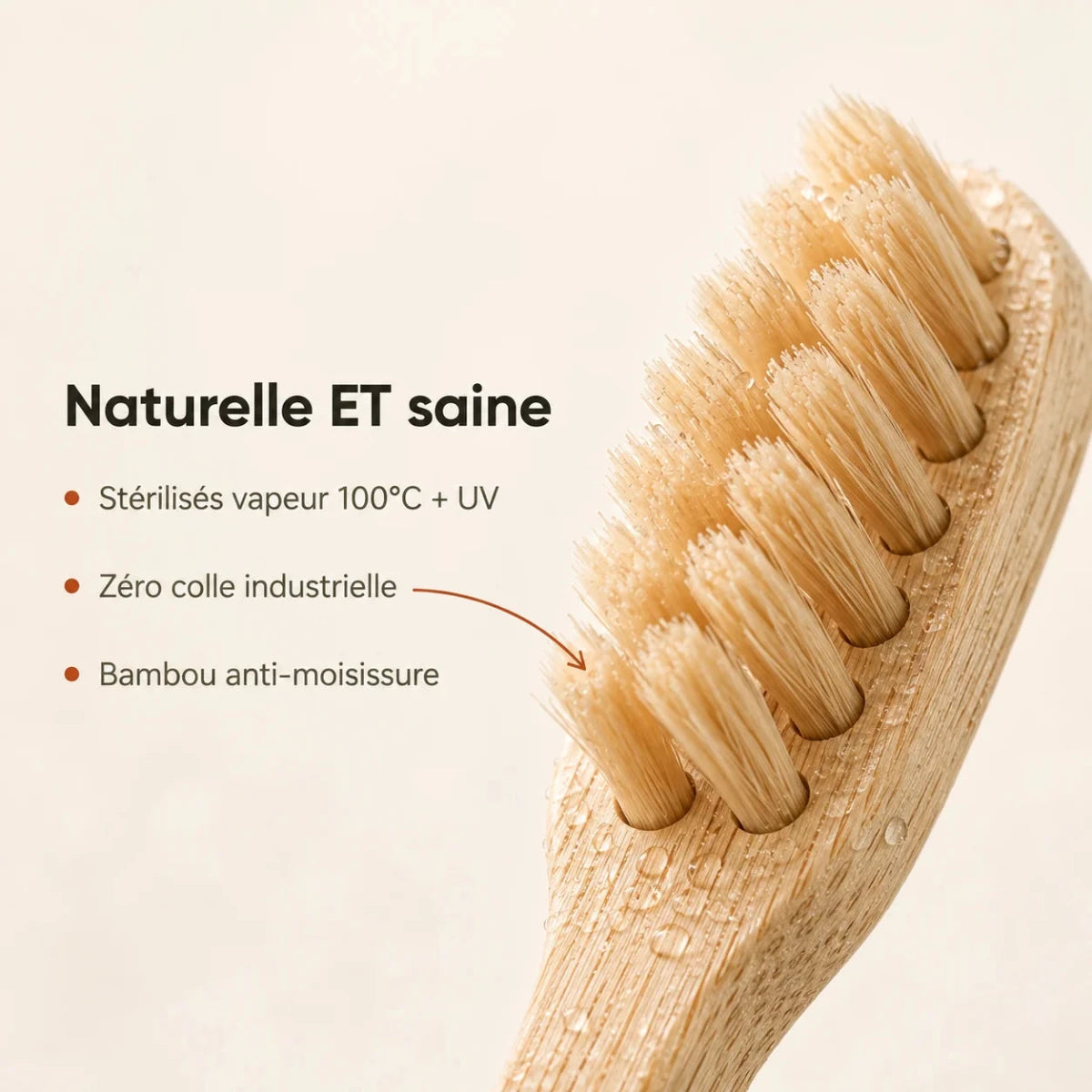 Brosse Bambou - Zéro Plastique - Senaiye